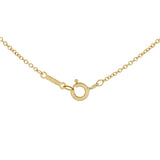 Tiffany & Co. 18K Yellow Gold Paloma Picasso Graffiti X Pendant Necklace Designer Jewellery Tiffany and Co