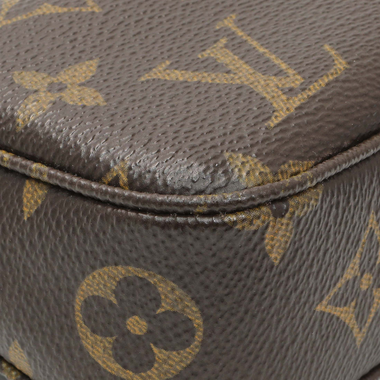 Louis Vuitton Monogram Pochette Accessories
