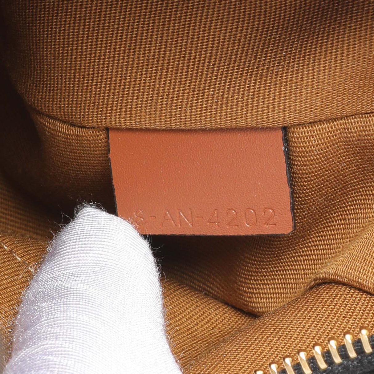 Celine Triomphe Canvas Calfskin Ava Shoulder Bag
