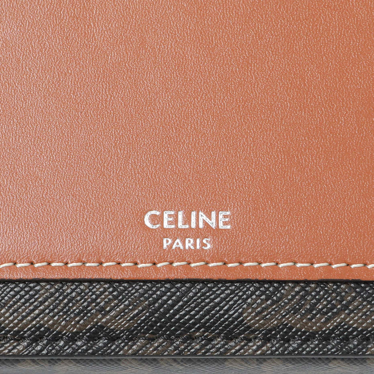 Celine Triomphe Horizontal Pouch Handbags Celine