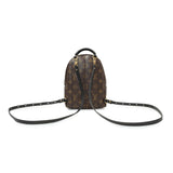 Louis Vuitton Monogram Palm Springs Backpack Mini Handbags Louis Vuitton