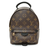 Louis Vuitton Monogram Palm Springs Backpack Mini Handbags Louis Vuitton