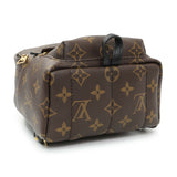 Louis Vuitton Monogram Palm Springs Backpack Mini Handbags Louis Vuitton