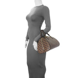 Louis Vuitton Damier Ebene Ribera MM Handbags Louis Vuitton