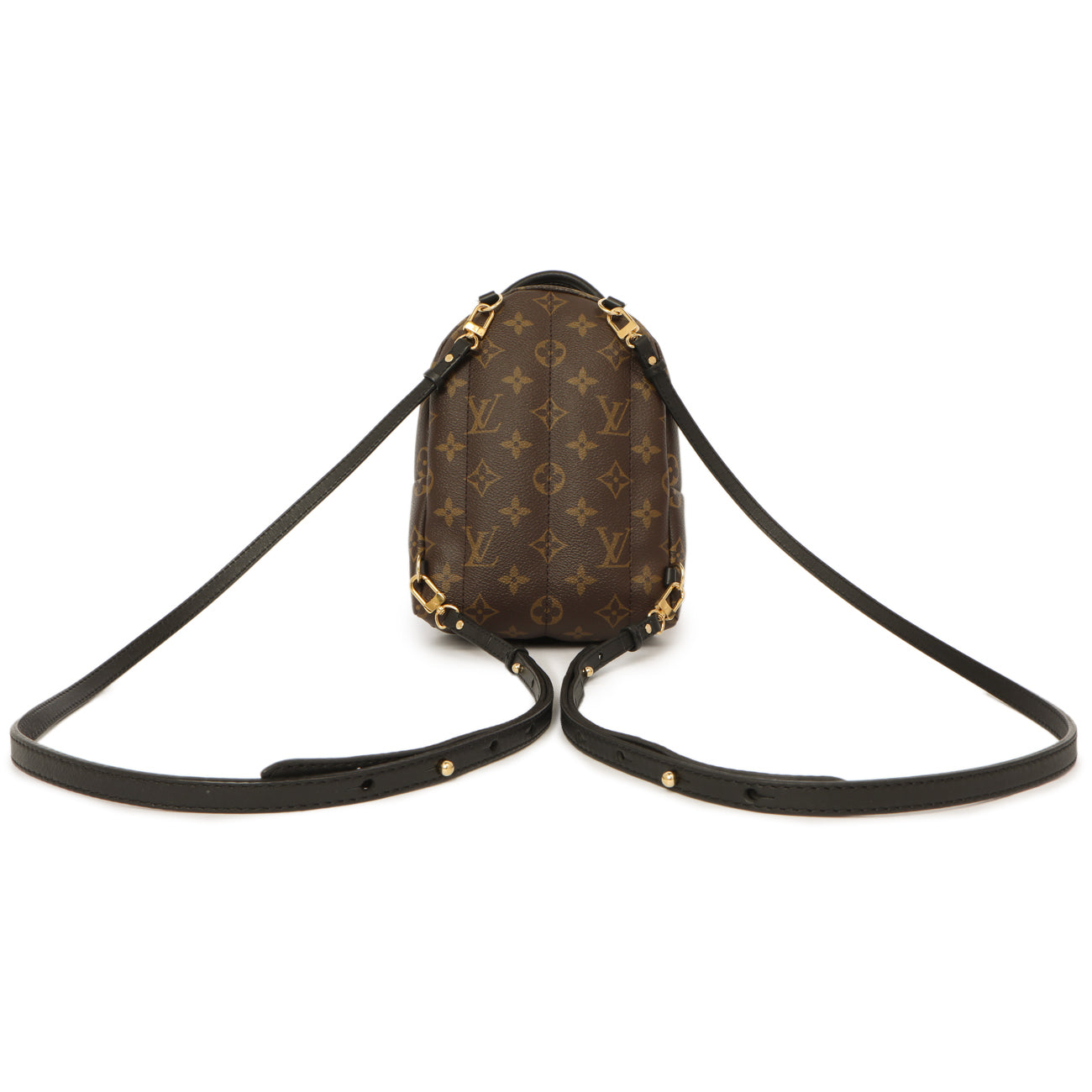 Louis Vuitton Monogram World Tour Palm Springs Backpack Mini Modaselle