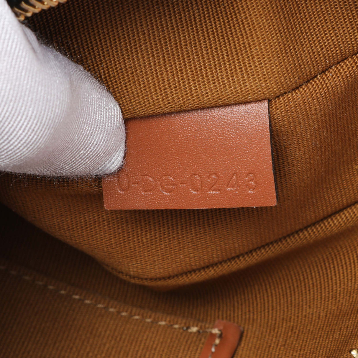 Celine Triomphe Canvas Calfskin Ava Shoulder Bag Handbags Celine