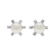 14K White Gold Akoya Pearl Earrings Fine Jewellery Modaselle