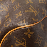 Louis Vuitton Monogram Delightful MM