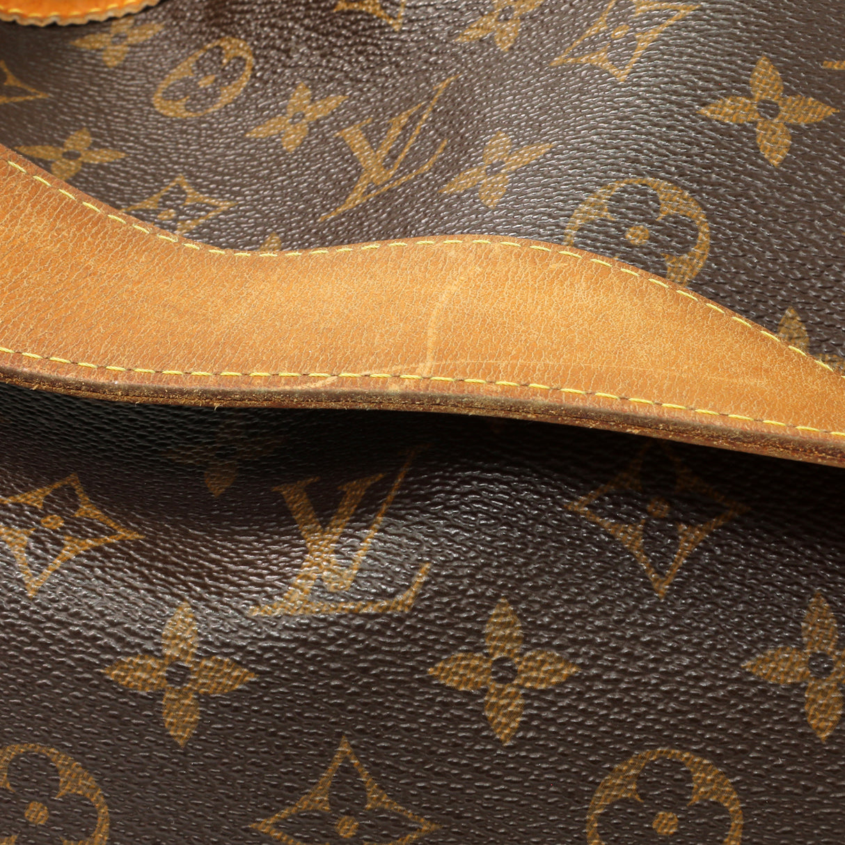 Louis Vuitton Monogram Delightful MM