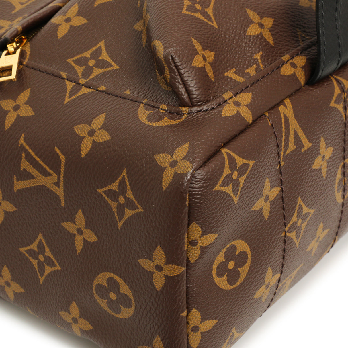 Louis Vuitton Monogram Palm Springs PM