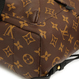 Louis Vuitton Monogram Palm Springs PM