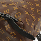 Louis Vuitton Monogram Palm Springs PM