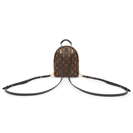 Louis Vuitton Monogram Palm Springs Backpack Mini