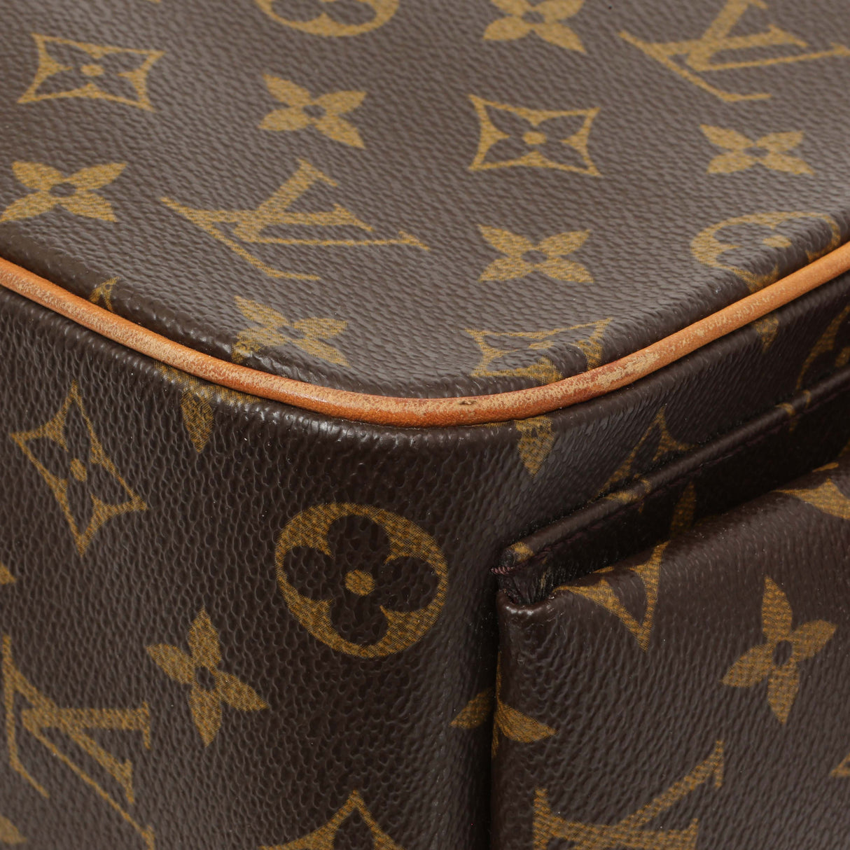 Louis Vuitton Monogram Excentri-Cite