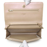 Chanel Gold Quilted Caviar Wallet On Chain WOC Handbags Chanel
