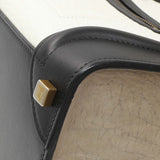 Celine Tricolor Calfskin Suede Micro Luggage Tote Handbags Celine