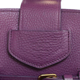 Louis Vuitton Haute Maroquinerie Neo  Steamer Bag