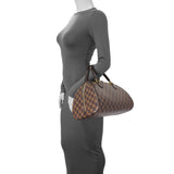 Louis Vuitton Damier Ebene Ribera MM Handbags Louis Vuitton
