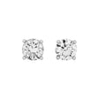 Platinum 3.03 Carat Diamond Stud Earrings Fine Jewellery Modaselle