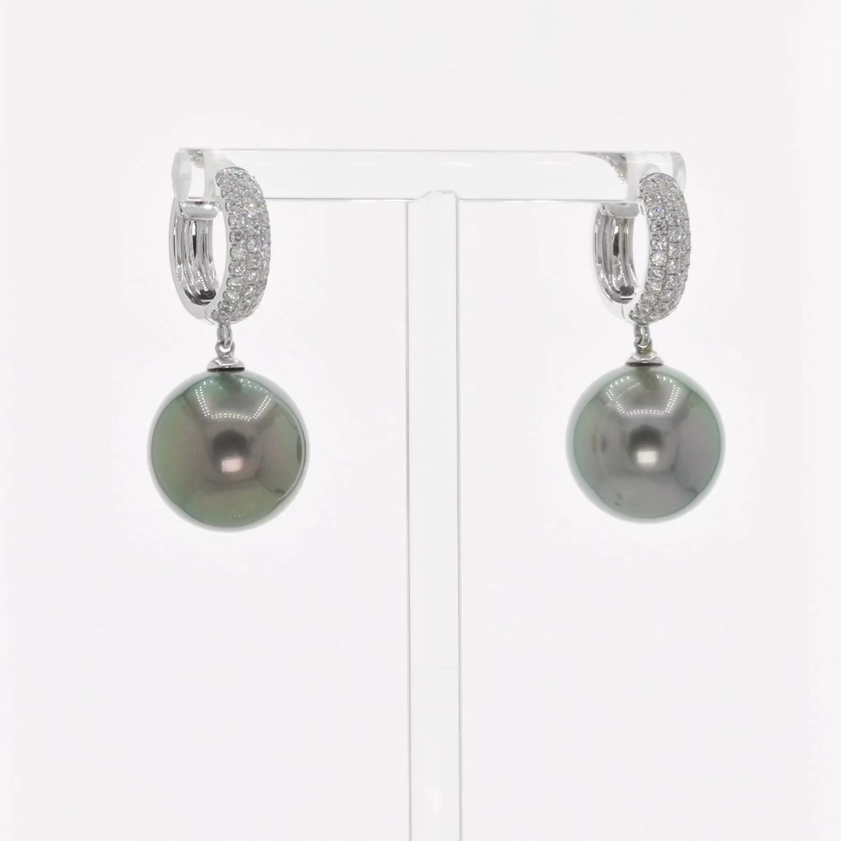 18K White Gold 15mm Tahitian Pearl Earrings Fine Jewellery Modaselle