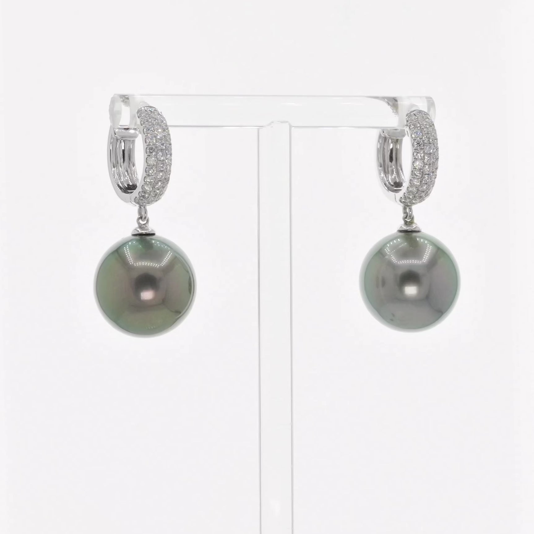 18K White Gold 15mm Tahitian Pearl Earrings Fine Jewellery Modaselle