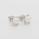 14K White Gold Akoya Pearl Earrings Fine Jewellery Modaselle