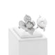 18K White Gold South Sea Pearl Diamond Blossom Ring Fine Jewellery Modaselle